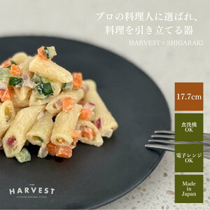 HARVEST kuro tbgv[g 18cm My Mba_ JtF i`  v[gbIWi Jg[ JtFH Lb`ACe Vv fBi[M ubN B