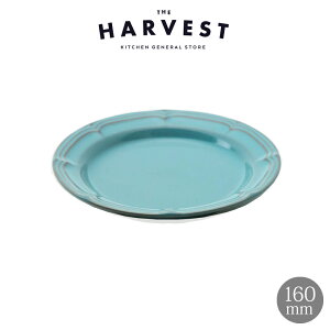 tBl AeB[Nu[ 16cm v[g