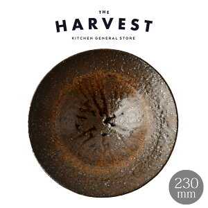 HARVEST Sabi {E My Mba_ JtF i`  v[gbIWi JtFH T_{E Vv X[v{E fBi[M Mtg X[vM v[g 