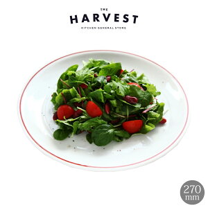 Saturnia(T^jA) ~mb\ bh C fBi[ v[g 27cmbC^AH Xg C  v[gb fBi[M Mtg