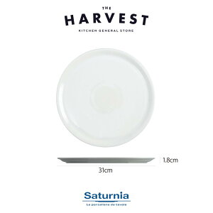 yXgv[gzSaturnia(T^jA) i| sUv[g31cm HbC^AH Xg C  v[gb