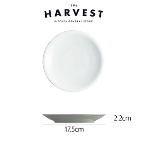 Saturnia(T^jA) [}v[ ubhv[g 17.5cm HbC^AH Xg C  v[gb fBi[M Mtg