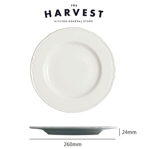 Saturnia(T^jA) vK fBi[v[g 26cmbC^AH Xg C  v[gb fBi[M Mtg