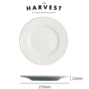 yXgv[gzSaturnia(T^jA) vK fU[gv[g 21cmbC^AH Xg C  v[gb