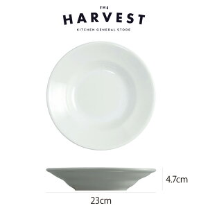 yXgv[gzSaturnia(T^jA) `{ pX^{E 23cm HbC^AH Xg C  v[gb