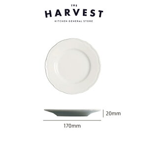 Saturnia(T^jA) vK ubhv[g 17cm HbC^AH Xg C  v[gb fBi[M Mtg