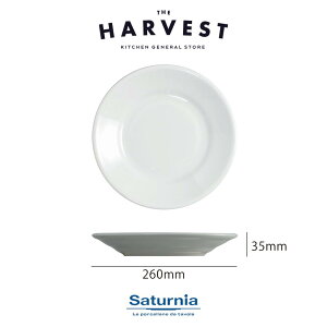 yXgv[gzSaturnia(T^jA) `{ fBi[v[g 26cm HbC^AH Xg C  v[g