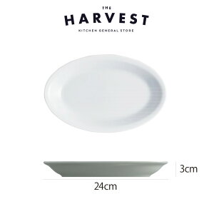 Saturnia(T^jA) [}v[ I[ov[g24cm HbC^AH Xg C  v[gb fBi[M Mtg pX^M J[M