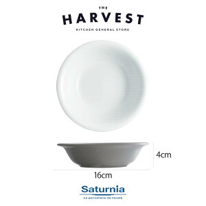 yXgv[gzSaturnia(T^jA) `{ {E M ~fBA 16cm HbC^AH Xg C  v