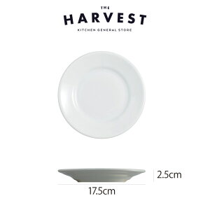 yXgv[gzSaturnia(T^jA) `{ ubhv[g 17.5cm HbC^AH Xg C  v[