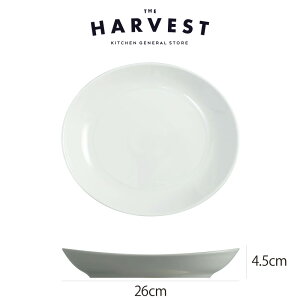 Saturnia(T^jA) `{ Shv[g26cm HbC^AH Xg C  v[gb fBi[M Mtg