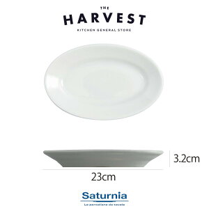 yXgv[gzSaturnia(T^jA) `{ 23cm HbC^AH Xg C  v[gb fBi