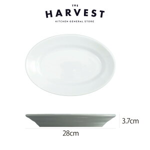 yXgv[gzSaturnia(T^jA) `{ 28cm HbC^AH Xg C  v[gb fBi