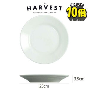 �y���X�g�������v���[�g�zSaturnia(�T�^���j�A) �`�{�� �f�B�i�[�v���[�g 23cm �H��b�C�^���A�H�� ���X�g������ ���C������ ������� �v���[���g