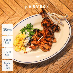 yʌzT^jA `{ u[C I[ov[g 28cmbC^AH Xg C  v[gb fBi[M Mtg pX^M J[M