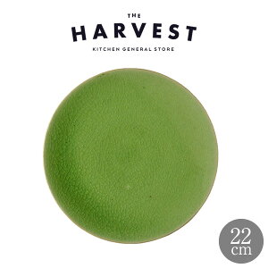 HARVEST CRAZE n[xXg NCY 22cm v[g O[ My Mba_ JtF i`  v[gbIWi JtFH Vv fBi[M Mtg