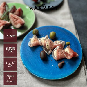 HARVEST BLUE VELVET u[xxbg 18cm My tbgv[gba_ JtF i`  v[gbIWi Jg[ JtFH Lb`ACe Vv fBi