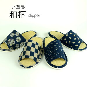 Xbp  MTCY {i 􂦂 Xbp ėp 