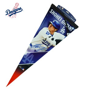 ��J�ĕ� ���T���[���X �h�W���[�X�����O�b�Y�y�i���g �� �C���e���A �O�b�Y WINCRAFT �t�@�i�e�B�N�XMLB PRG CD LAD SHOHEI OHTANI���W���[���[�O ���S �싅 �I�t�B�V�����O�b�Y�G�� ���ʌ��� �t���b