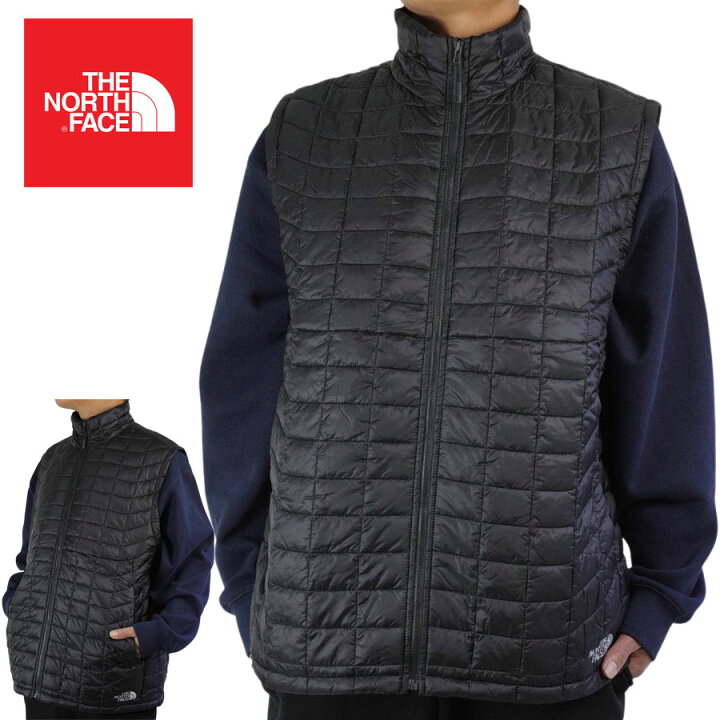 楽天市場】ノースフェイスTHE NORTH FACEUSA企画 日本未入荷 メンズ 
