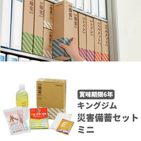 【スーパーSALE対象商品】 【送料無料】キングジム 災害備蓄セット ミニ MNS-200 防災グッズ KING JIM