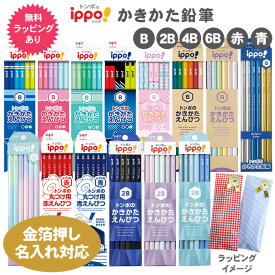 新色追加 名入れ 鉛筆 トンボ鉛筆 ippo! かきかたえんぴつ 鉛筆 1ダース 12本 ラッピングセット 六角軸 硬度 B 2B 4B 6B