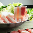 【※賞味期限 2025/8/9までのため期間限定セール 日付指定不可】豚バラ肉 2.5mm厚 スライス 500g　たっぷり大容量！/業務用/生姜焼き/鍋/豚キムチなどの具材に♪ -P311