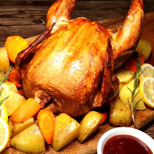 X[N[Xg`L ۂ (O[) Mς1kg ی{ O[ ߂邾 NX}X BBQ-C109S