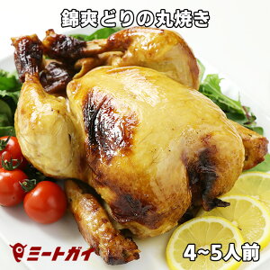 ёuǂ̊ۏĂ [Xg`L (Y{E񂻂ǂ) 1H܂邲 1kg 4-5ll Mς Ⓚ p[eB NX}X t ܂ -C300