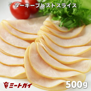 X[Nh ^[L[uXgXCX (ʒl̃fn) 500g ^[L[n ʒ@n-T021
