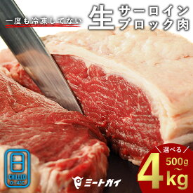 【送料無料】サーロインステーキ 牛肉 赤身 ステーキ肉 牛 ブロック ローストビーフや厚切りステーキ 赤身肉 ステーキ お歳暮 お中元 牧草牛 グラスフェッドビーフ 牧草飼育 牛肉ブロック 肉問屋 冷蔵肉 バーベキュー BBQ-B101