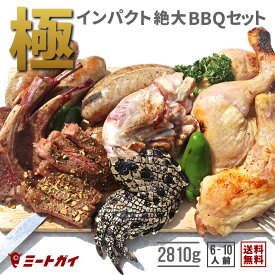 楽天市場 ワニ肉の通販