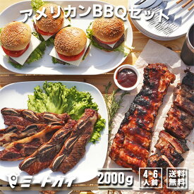 アメリカン！BBQセット　アメリカ風のバーベキューセット！2kg　4-6人前　-SET098