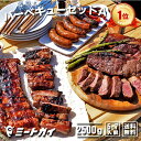 バーベキューセットA 合計約2.5kg!!究極のバーベキュー肉(洋風焼肉セット・BBQセット)≪雑誌掲載商品・テレビ紹介お取り寄せグルメ≫お得さ福袋級!-SET...