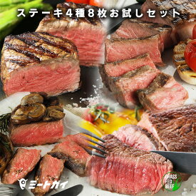 グラスフェッドビーフ ステーキ肉　4種類8枚お試しセット！(スパイスのおまけ付きのおためし価格）牛肉ステーキ！！お得さ福袋級！　-SET104