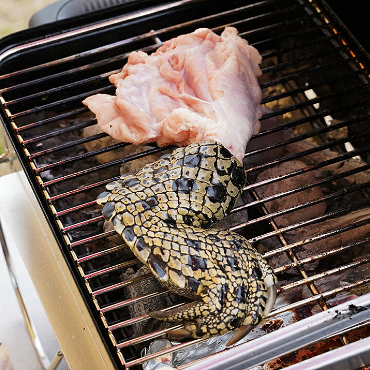 楽天市場 クロコダイルつめ 250g前後 ワニ手羽 ワニ肉 鰐肉 オーストラリア産 q 焼き肉 イベントに わに インパクト 雑誌に掲載されました D030 ミートガイ