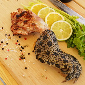 クロコダイルつめ 100g前後 ワニ手羽 ワニ肉 鰐肉 オーストラリア産 BBQ、焼き肉、イベントに♪ わに インパクト★雑誌に掲載されました♪ -D030