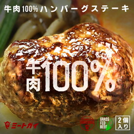 ハンバーグ グラスフェッドビーフ（牧草牛）100％　ハンバーグステーキ　150g×2　牛肉のハンバーグ -B411