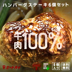 ハンバーグ　グラスフェッドビーフ（牧草牛）100％　ハンバーグステーキ　6個（150g×2）×3　牛肉のハンバーグ /バーベキューセット　肉　BBQ食材　アウトドア　キャンプ-SET411