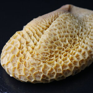 n`mXiI݁j@z 1`1.3kg Beef Honeycomb tripes