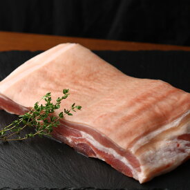 皮付き 豚バラ肉 ブロック 1kg Skin-on Pork Belly Block 1kg SKU204