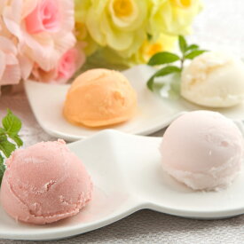 美味しさ溢れる国産フルーツを贅沢に組み合わせた12個のアイスクリーム！