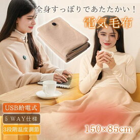 【★5WAY】電気毛布 掛け敷き兼用 USB ワッフル生地 洗える 丸洗いOK ふわとろブランケット 大判 150×85cm 節電 寒さ対策 肩掛け 膝掛け 寝室 オフィス 車中 速暖 冬ギフト プレゼントにも最適