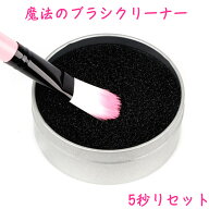 メイクブラシクリーナー 洗浄 メイクブラシ ドライクリーニングスポンジ 水なし 便利　ブラシ用 クリーナ…