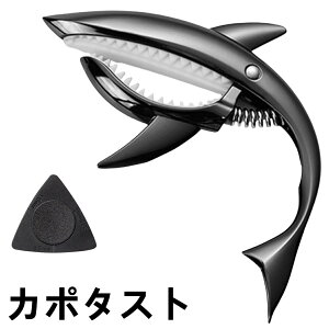 J|^Xg ^b` M^[ sbN t T@fUC@J| ^Xg ȒPt AR[XeBbN GLM^[ ARM NVbN capo ubN p NVbNM^[ x[X E