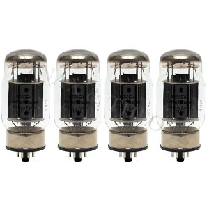 Electro-Harmonix 6550EH �}�b�`�h�N���b�h (4�{) �p���[��