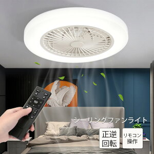 V[Ot@Cg T[L[^[Cg ledV[Ot@ t]@\ k 50cm R V[OCg rO dc[^[ ^ Cz 10 12  V[O