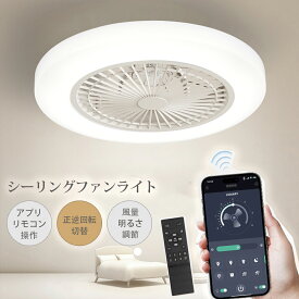シーリングファンライト サーキュレーターライト ledシーリングファン 逆回転機能 北欧 45cm リモコン操作 シーリングライト リビング dcモーター 小型 空気循環 10畳 12畳 14畳 おしゃれ シーリングサーキュレーター 和室 照明器具 天井直付灯