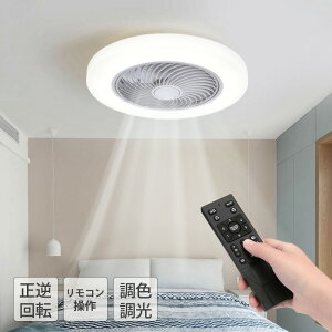 V[Ot@Cg T[L[^[Cg ledV[Ot@ t]@\ k 50cm R V[OCg rO dc[^[ ^ Cz 10 12 14  V[