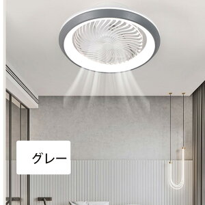 V[Ot@Cg U@\t V[Ot@ XCO T[L[^[Cg led t]@\ 50cm R ^ Cz 10 12 14  V[OT[L